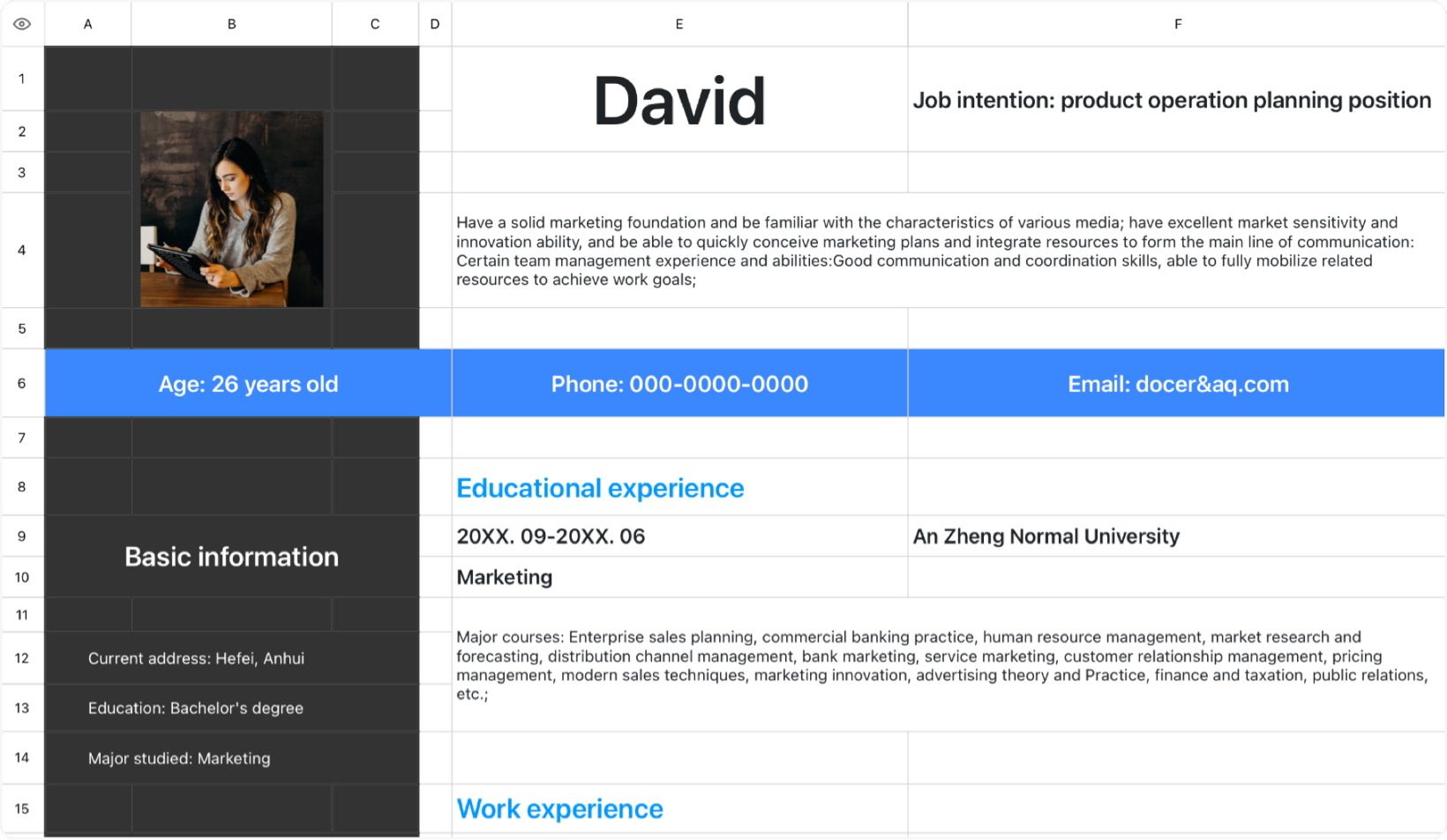 Product operation planning resume template